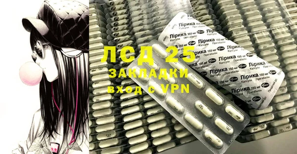 индика Белокуриха