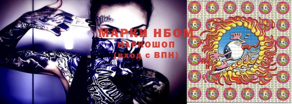 индика Белокуриха