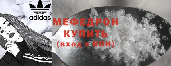 индика Белокуриха