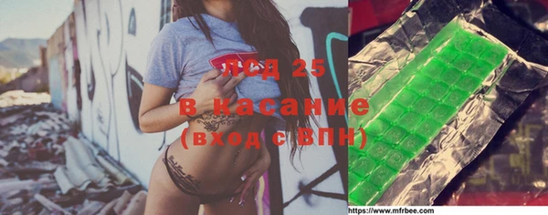 индика Белокуриха